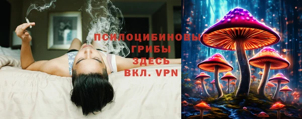 PSILOCYBIN Володарск