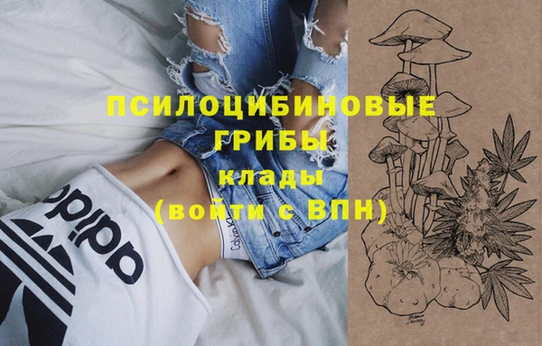 МДПВ Вязники