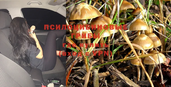 PSILOCYBIN Володарск